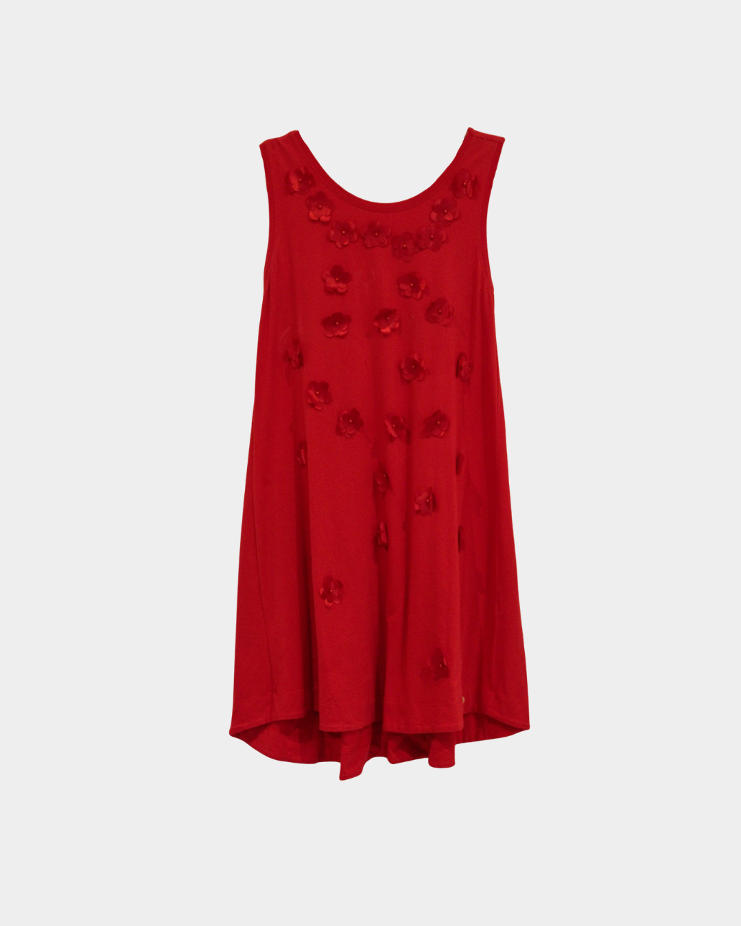Floral Appliqué Dress